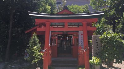 ⛩️ 고치 다이진구 신사 (고치 다이진구)